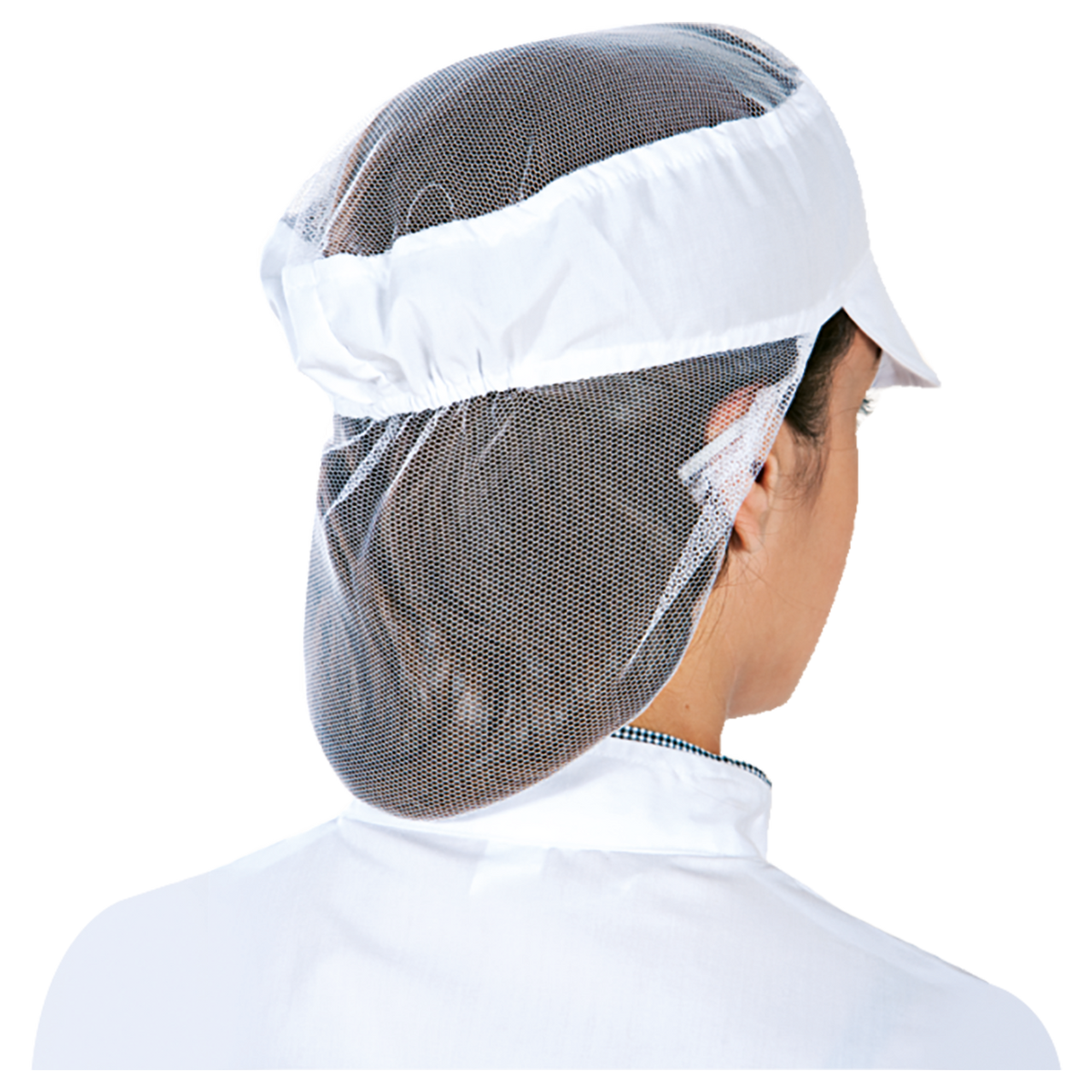 Chef's hat TULL - 2