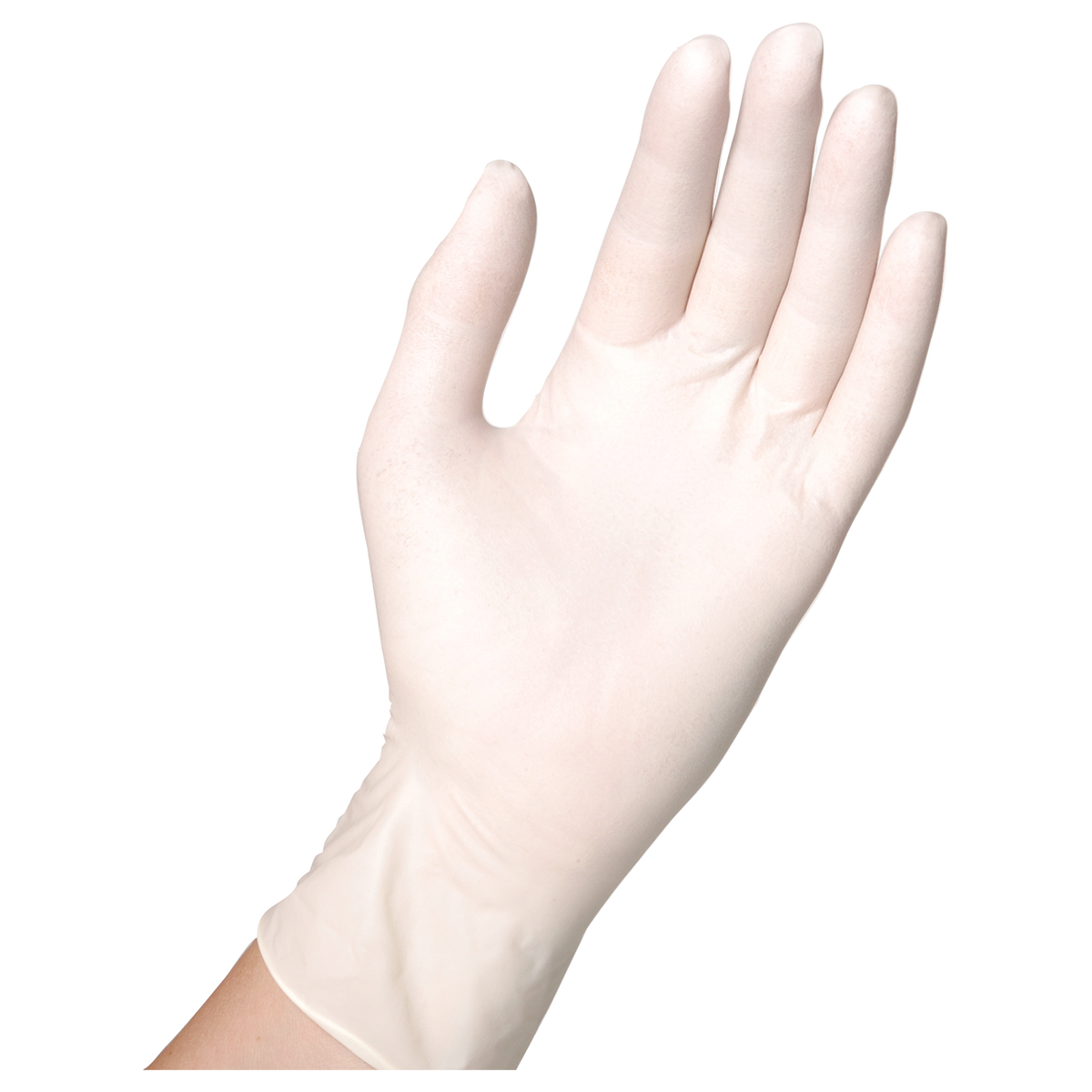 Disposable latex gloves SEMPERGUARD LATEX POWDERED - 2