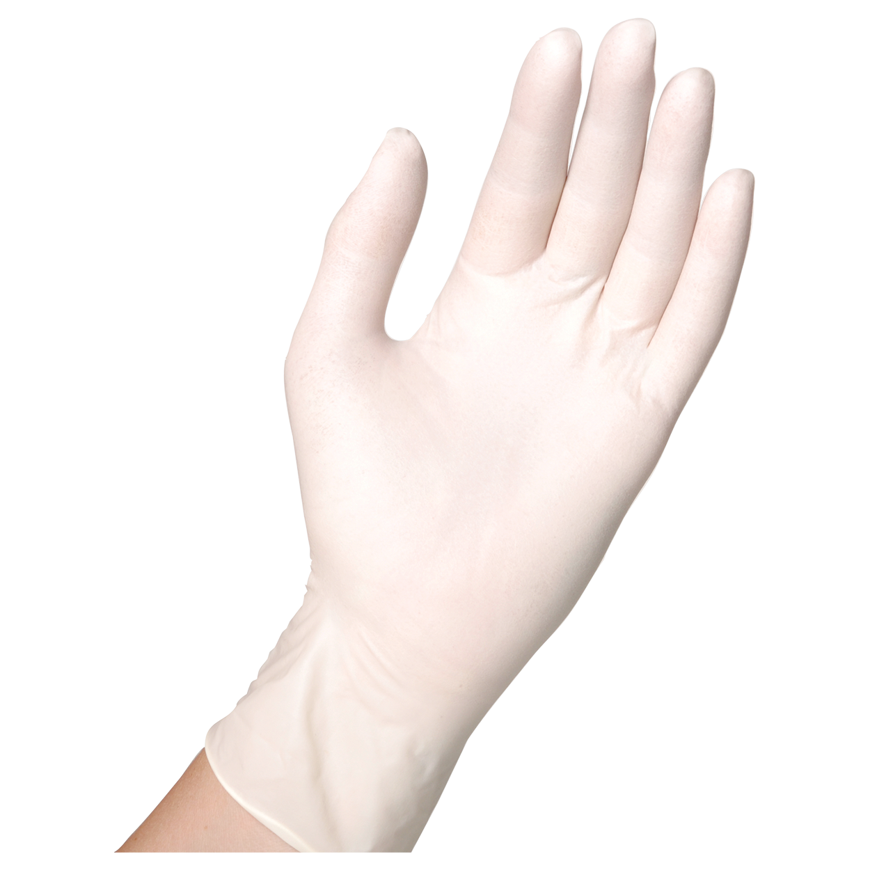 Disposable latex gloves SEMPERGUARD LATEX POWDERED - 2