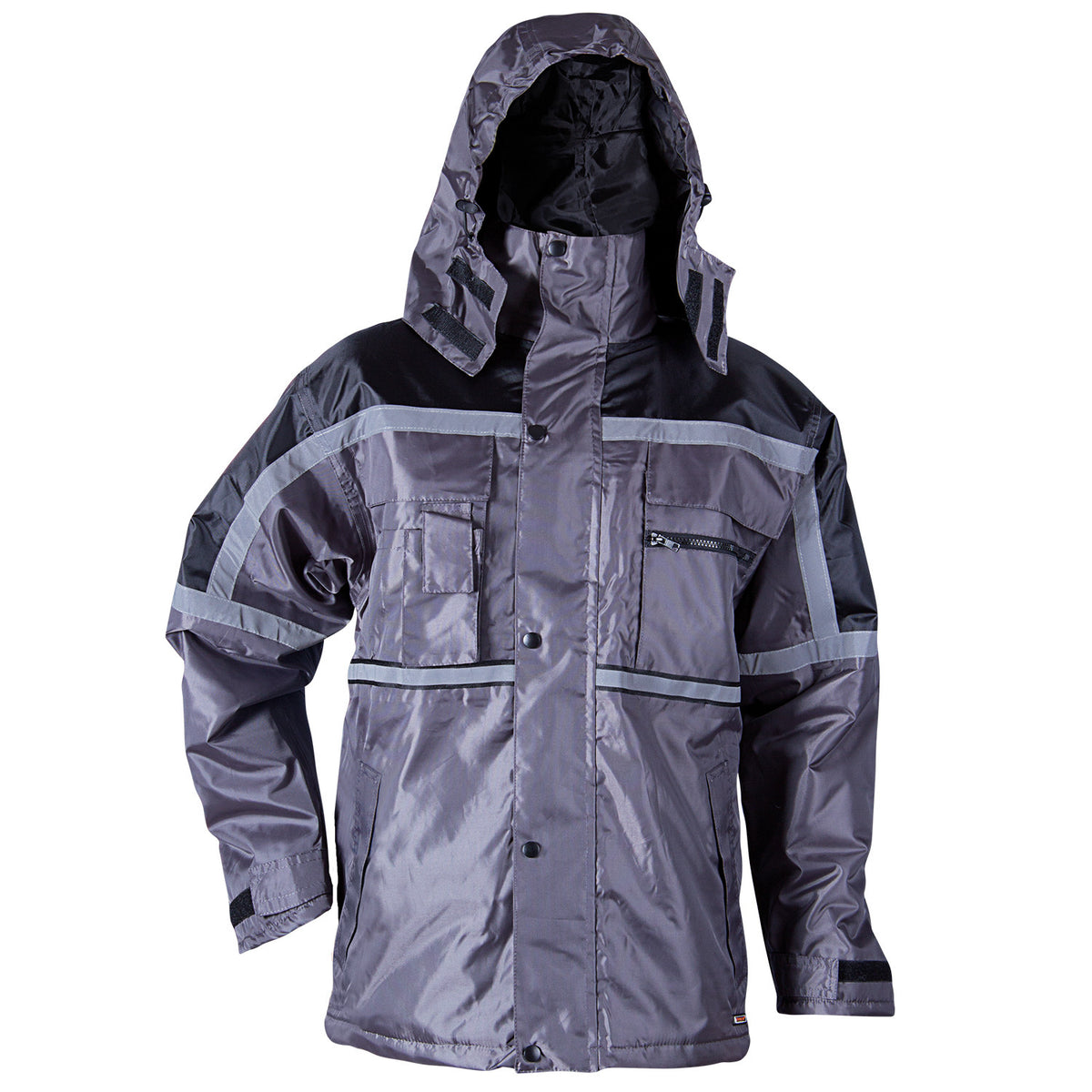Winter jacket PIMLICO