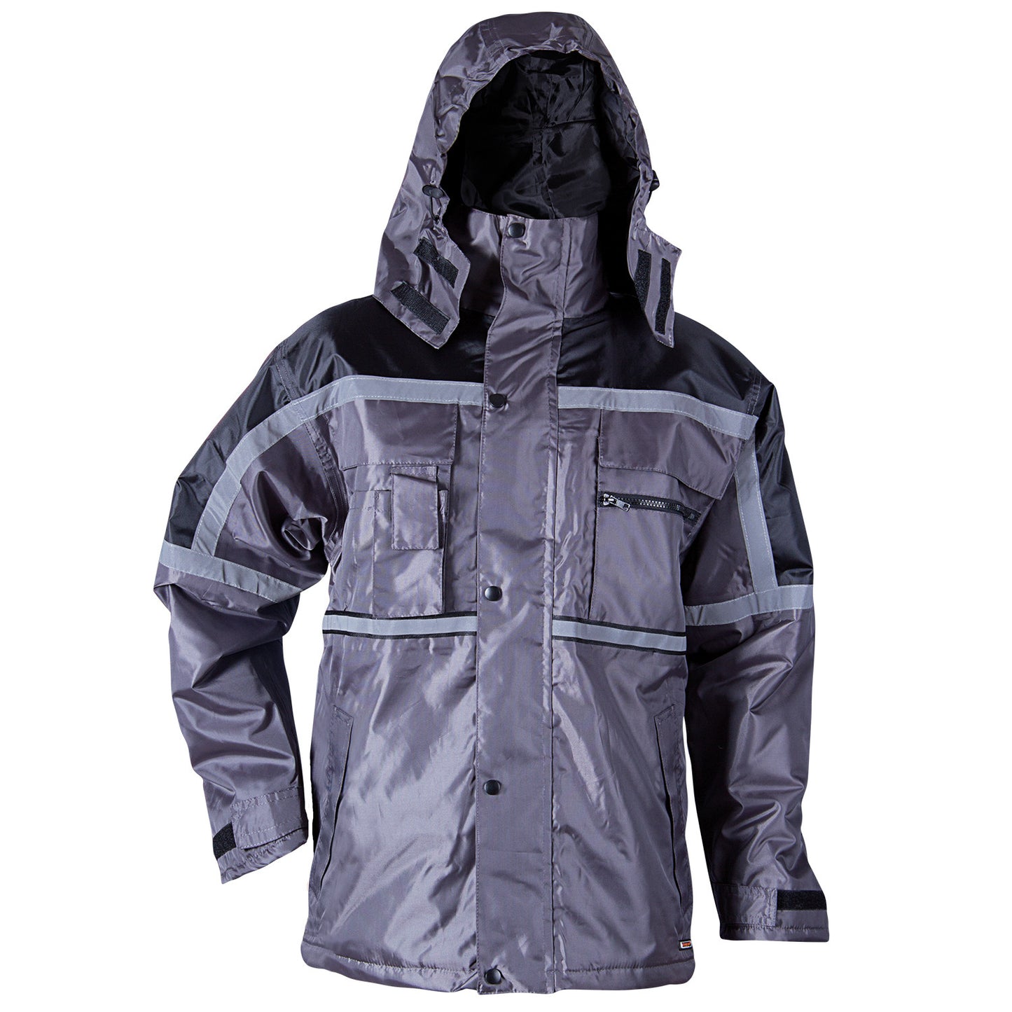 Winter jacket PIMLICO