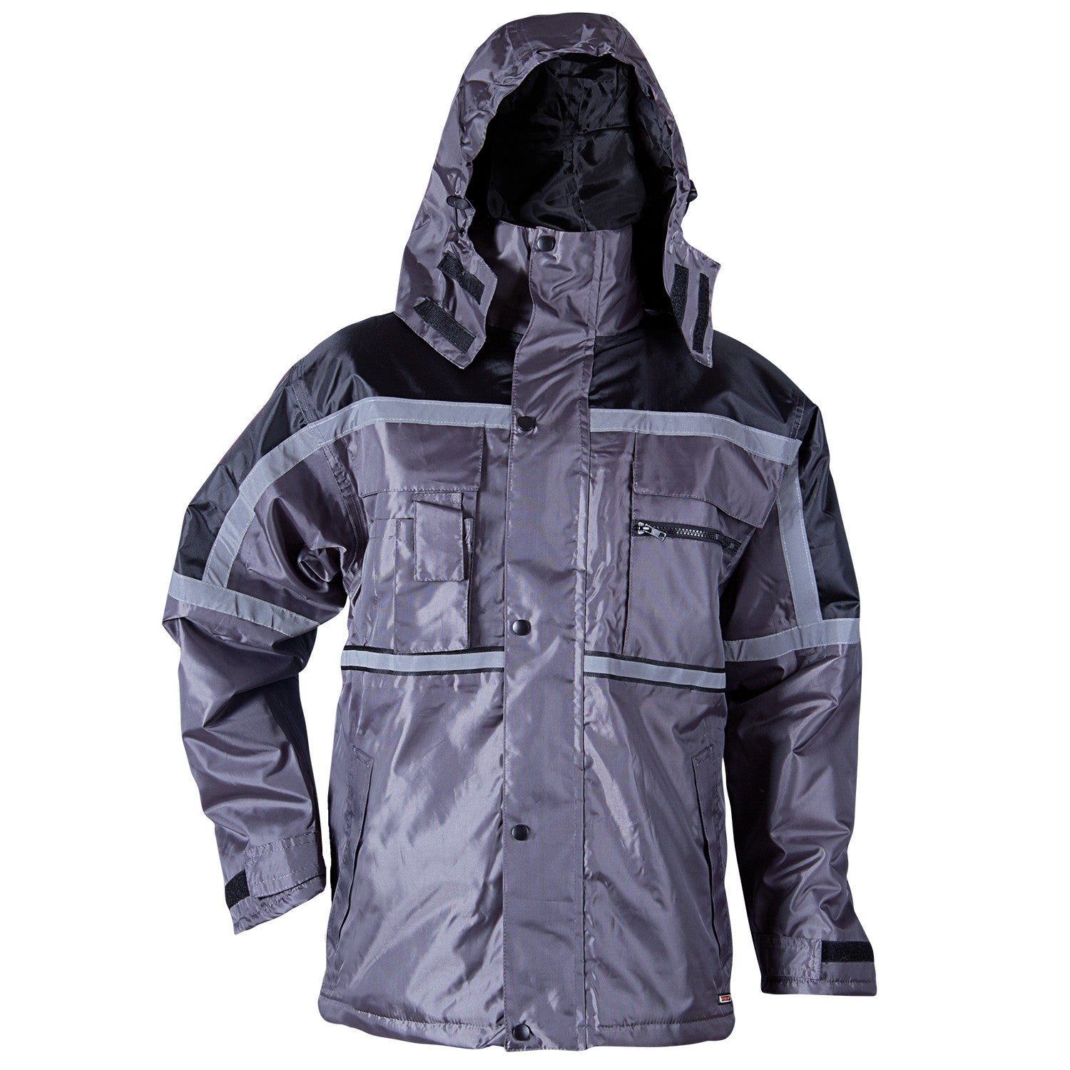 Winter jacket PIMLICO