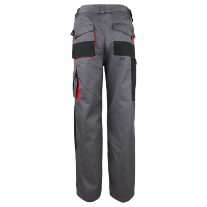 Work trousers TORIN - 2